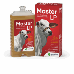 MASTER L.P. 1 LT.