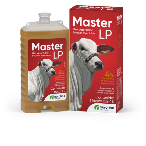 MASTER L.P. 1 LT.